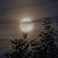 月亮微信头像图片 夜空中唯美的月亮图片
