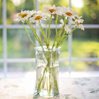 花瓶里的花束唯美头像，小花束是生活中美好的小角落