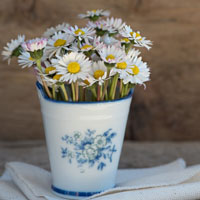 花瓶里的花束唯美头像，小花束是生活中美好的小角落