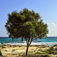 美丽的岛国风光头像，塞浦路斯风景图片