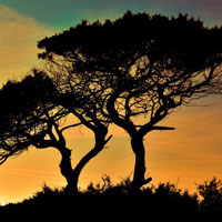 美丽的岛国风光头像，塞浦路斯风景图片