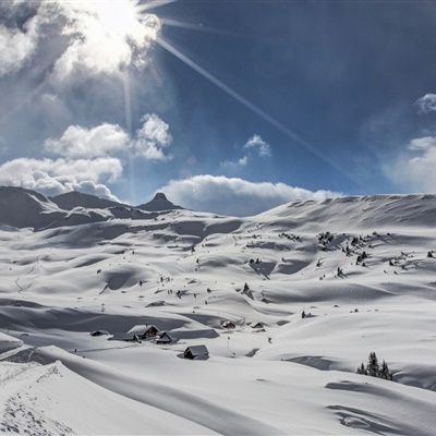 冬天雪景的微信头像，好看的冬季雪景风景图片