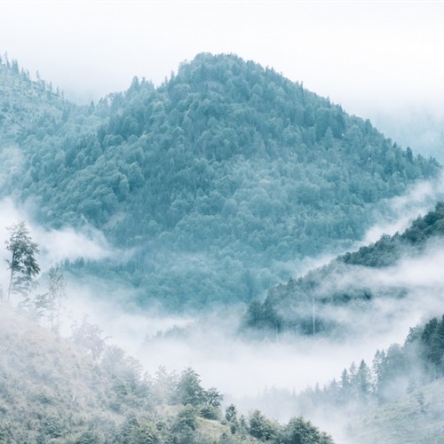 山林风景头像 雾气缭绕的山林图片