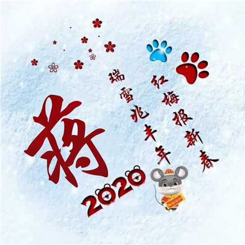 寓意吉祥好兆头的姓氏头像图片 瑞雪兆丰年 红梅报新春