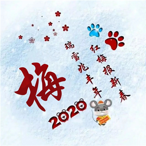 寓意吉祥好兆头的姓氏头像图片 瑞雪兆丰年 红梅报新春