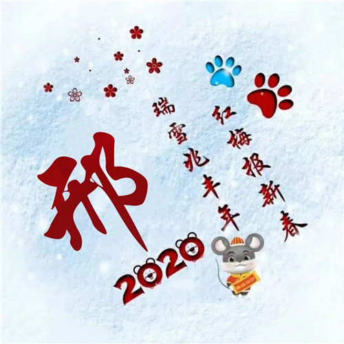 寓意吉祥好兆头的姓氏头像图片 瑞雪兆丰年 红梅报新春