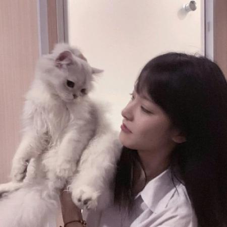 抱猫的美女头像 抱猫的美女头像图片