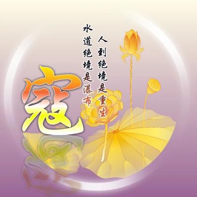 百家姓莲花头像图片，四月最新款值得拥有