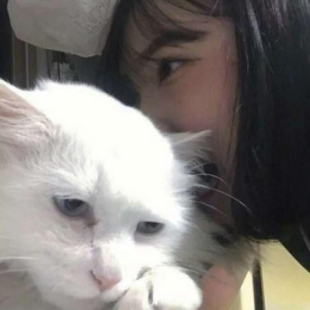 女生抱猫头像，女生抱猫头像真人