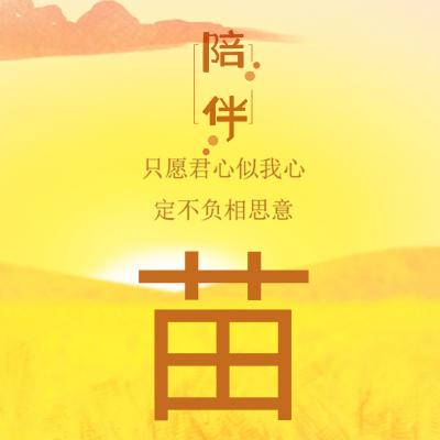 姓氏头像：不再寂寞，有你的陪伴