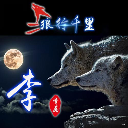 狼行千里微信头像，霸气的狼与月亮天空主题的