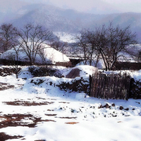 唯美冬日雪景头像图片,冬天的景色真的很迷人,我太喜欢了