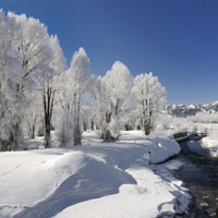 唯美冬日雪景头像图片,冬天的景色真的很迷人,我太喜欢了