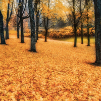 初秋的景色图片头像,远处迷人的风景真美