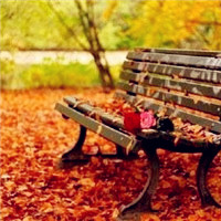 落叶的季节也是我们分手的日子,留下的只有回忆了