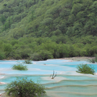 黄龙自然风景图片头像,清清的溪水绿绿的树