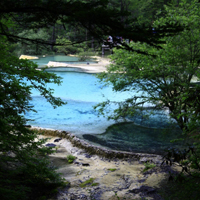 黄龙自然风景图片头像,清清的溪水绿绿的树