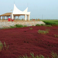 辽宁盘锦红海滩图片,最美丽的湖水,薰衣草