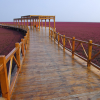 辽宁盘锦红海滩图片,最美丽的湖水,薰衣草