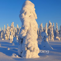 微信头像图片,好看唯美冬季雪景图片