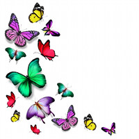 唯美蝴蝶,我真想变成一只蝴蝶在花中轻轻起舞