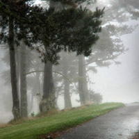 适合微信的头像,早晨的雾美景美极了