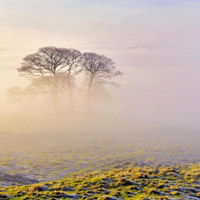 适合微信的头像,早晨的雾美景美极了