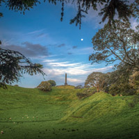 绿色养眼的风景头像,新西兰田园风光风景太美丽了