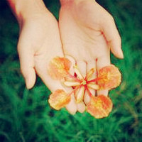 双手捧花的图片头像,手中的花朵是我对你的爱,心中只爱你一人