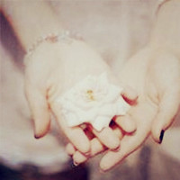双手捧花的图片头像,手中的花朵是我对你的爱,心中只爱你一人
