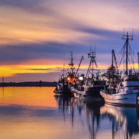 美国旧金山渔人码头风景,停泊的船只在夕阳下