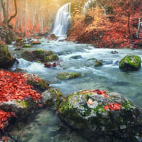 林间瀑布溪流图片,最美丽的林间小溪