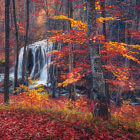 林间瀑布溪流图片,最美丽的林间小溪