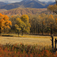秋天的青海黑河大峡谷风景头像高清22P