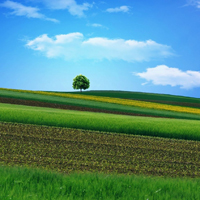 春天来了,绿色让我们心情大好,田野农庄风景图片
