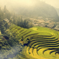 唯美自然风景图片,梯田,河道,雾蒙蒙的树林