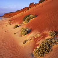 沙漠绿洲图片风景适合微信专用的美景图片
