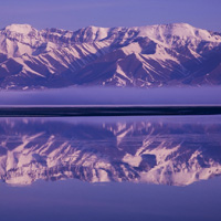 新疆伊犁优美风景头像图片,紫色的美丽