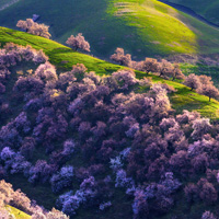 彩斑斓的唯美风景头像,漂亮的春天的景色壮丽无比