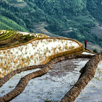 好看的图片头像,广西龙脊梯田风景图片