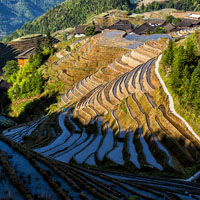 好看的图片头像,广西龙脊梯田风景图片