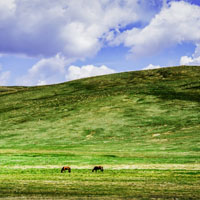 巴音布鲁克草原图片,草原房屋风景头像