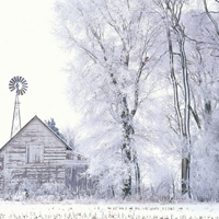 冬季雪景唯美图片,可以当头像的雪景