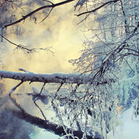 冬季雪景唯美图片,可以当头像的雪景