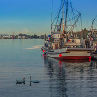 旧金山渔人码头唯美风景头像图片