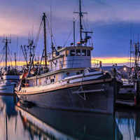 旧金山渔人码头唯美风景头像图片