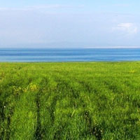 中国最大的内陆湖青海湖风景图片分享