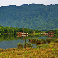 小清新绿色风景图片,神农架大九湖国家湿地公园