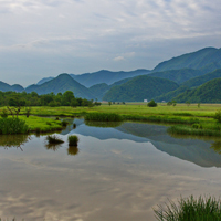 小清新绿色风景图片,神农架大九湖国家湿地公园