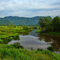 小清新绿色风景图片,神农架大九湖国家湿地公园